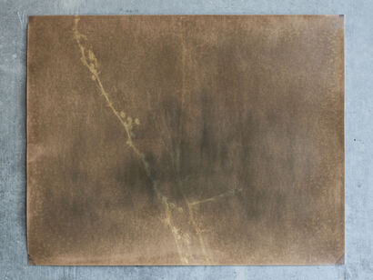 Rebirth from the Ashes - a Photographic Art Artowrk by Luisa Milano